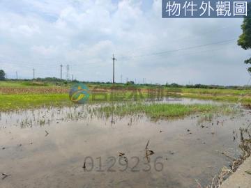 台南土地農地 新營近太子宮雙面路角窗都內美農地