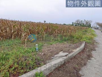 台南土地農地-鹽水1分2百萬小資農地