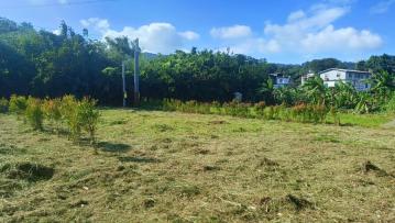 竹東房子出售 關西臨溪渡假休閒農地I區