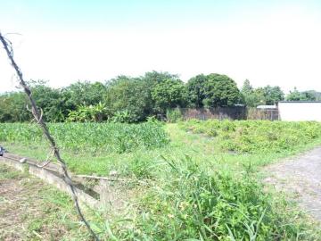 竹東房子出售 橫山街正臨路美農地B