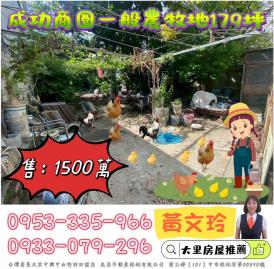 大里房屋推薦 成功 仁化雙商圈一般農牧用地179坪