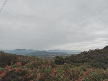 築居小江 玉井農地 用露營車的價格，換一片夢想露營區!!