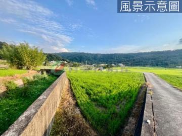 三義鯉魚潭休閒美農地 頭份竹南房價