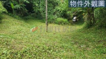 卓蘭苦茶園優質農牧地 頭份竹南房價