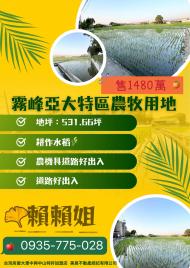大里透天店面  霧峰亞大特區農牧用地