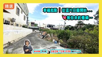 獨家 高樹鄉新南國小附近臨路市區農地 