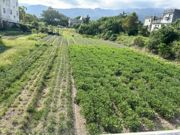 內湖大樓公寓 頭城497建地