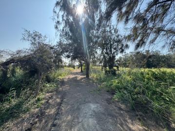 海線透天別墅〃龍井臨港路都計內農地