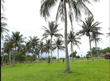 沙鹿透天推薦 台東東河看海藍天鄉居平坦農地 農地 有臨路