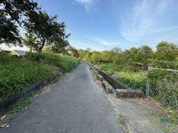 歸仁媽祖廟段213坪臨路農地☎️賞屋290-6660