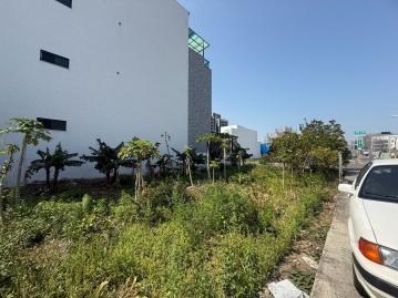 嘉義房屋土地 湖子內健康十街商業區三角窗建地