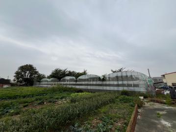 嘉義房屋土地 鹿草大地坪美建地