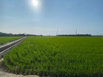 嘉義房屋土地 大林正16米路大面寬大地坪農地