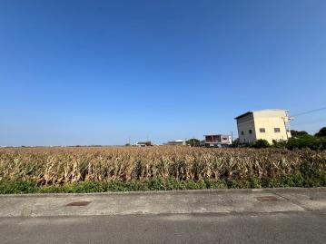 嘉義房屋土地 義竹雙面臨路增值農地