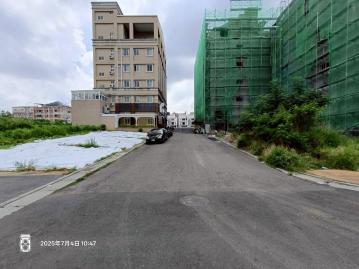 嘉義房屋土地 中正大學三角窗商業建地