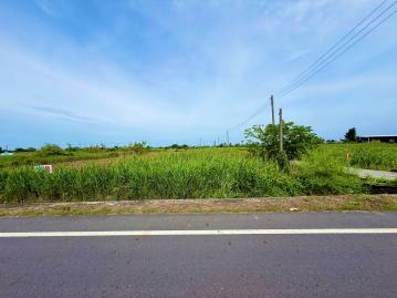 嘉義房屋土地 東石正12米路農地