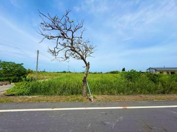 嘉義房屋土地 東石正12米路農地
