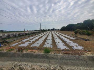 嘉義房屋土地 布袋過溝雙面臨路方正美農地