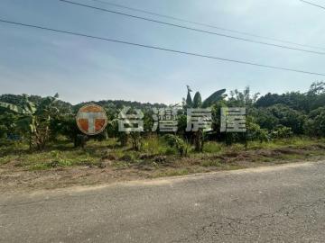 東山凹仔腳樂活果園 新營土地推薦