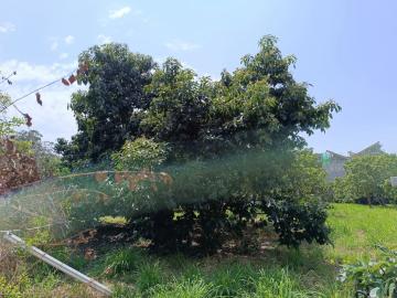 嘉義買房賣屋 民雄中正大學建地