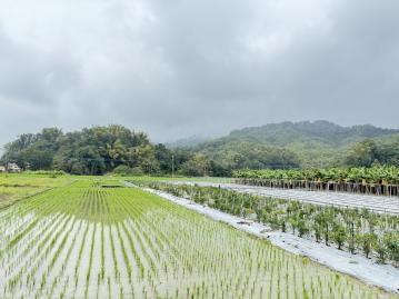 高雄土地男神  美濃雙面路農地