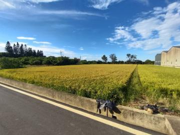 青埔山鼻買房 66快速公路-精美農業地
