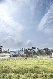 龍潭土地 龍潭泥橋段農地
