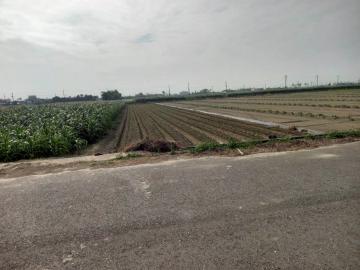 佳里土地買賣 將軍區漚汪西甲小段田地(B)