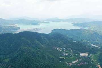 南投魚池稀有釋出｜26甲農建地｜地勢平坦 北屯社區推薦