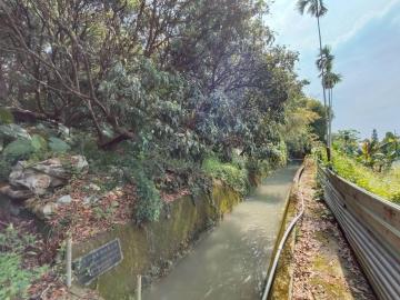北屯大樓房仲 草屯新南埔段1687坪交通便利農牧用地