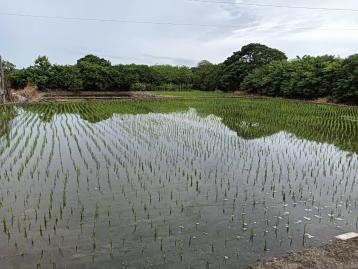 龜山房屋首購 苗栗銅鑼千坪臨路農地