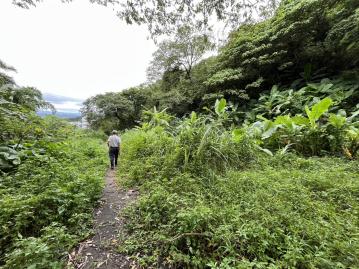 龜山房屋出售 大同路旁農林用地