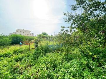 彰化房屋仲介 永靖都內方正開心農場