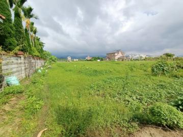 苗栗房仲專家 復興路五段配蓋田