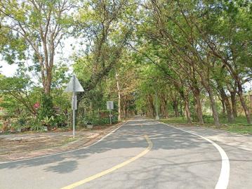 豐原房產顧問 石岡綠園道旁都計內農地