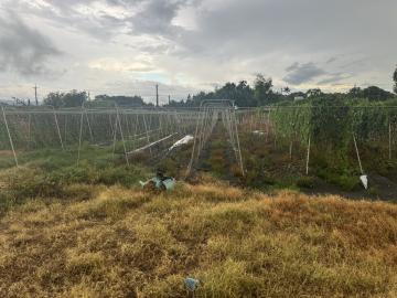 彰化土地房屋  北斗農地農保