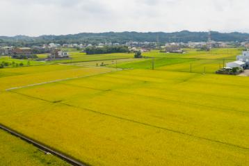 後龍土地買賣【BS52116】苗栗高鐵都市計畫二期農地(A)