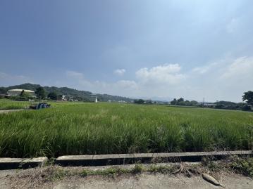 後龍土地買賣【BS56032】外獅潭漂亮農地