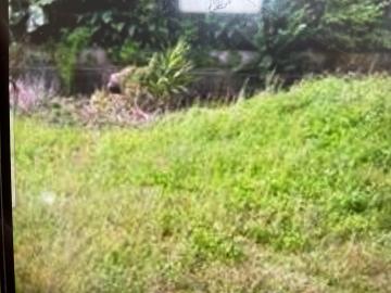 台灣后里好房 后里方正小農