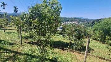 台中東勢土地 東崎路三段休閒景觀美地