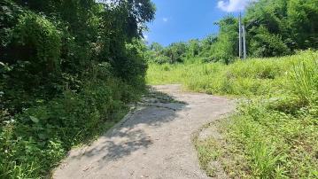 台中東勢土地 東坑路727巷景觀美農地