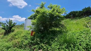 台中東勢土地 休閒景觀梨園美地