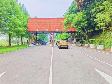 台中東勢土地 東勢便宜休閒地