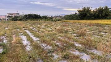 台中后里土地 后里八米活路農地