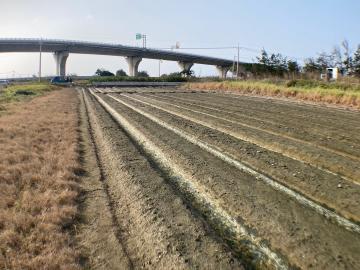 秀水透天土地 大城鄉美豐段可做休閒農場