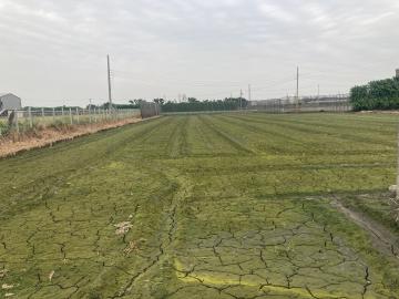 秀水透天土地 芳苑17線53k2.9分袋地美田