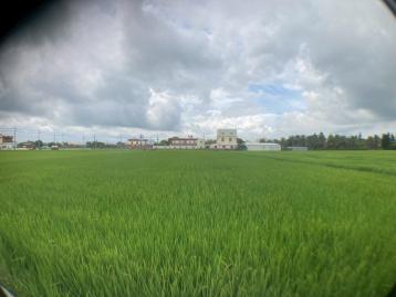 秀水透天土地 福興鄉永豐田野自在農居好所在農地