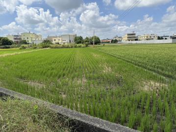 秀水透天土地近秀水市區臨路大面寬超美農地