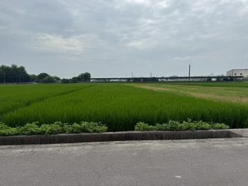 秀水透天土地樂耕小田秀水之境田園夢想臨路農地