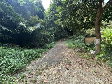  頭份透天華廈 專任三灣崁頂寮便宜農牧景觀地